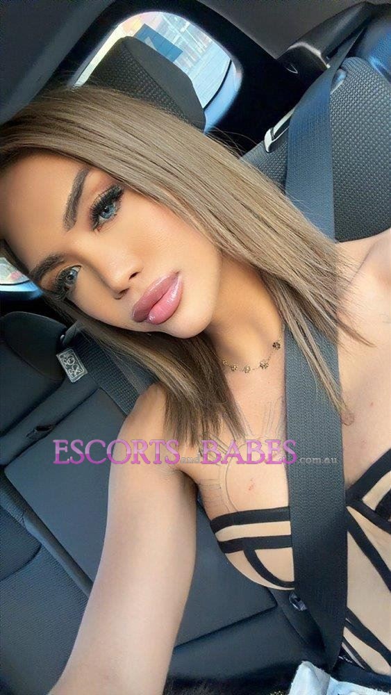 Ts Adriana New in Town Your wild Ts experience