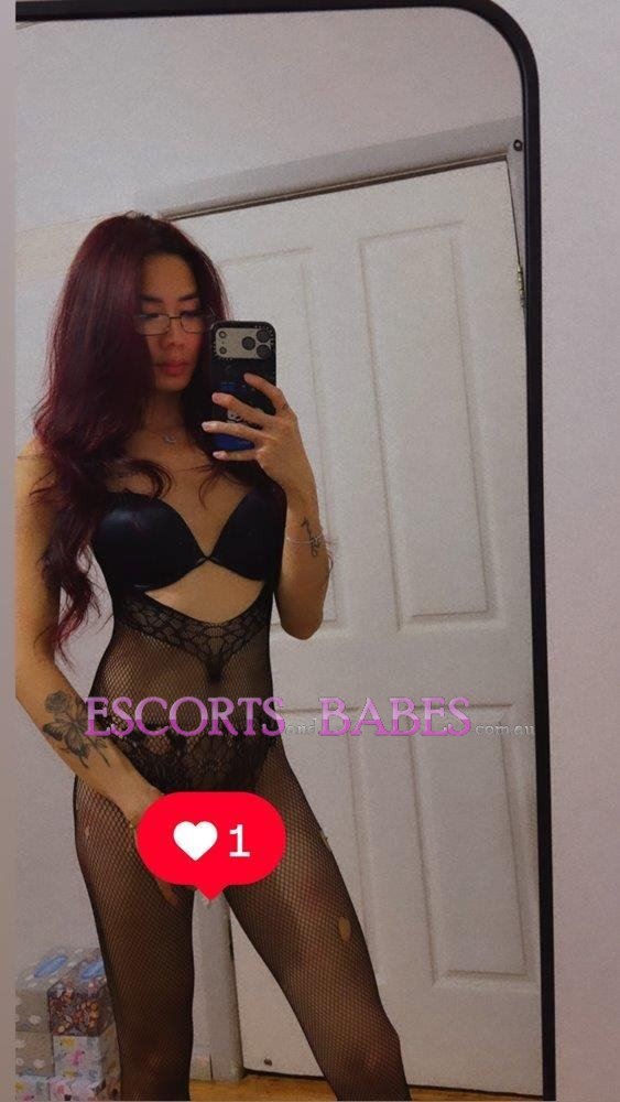 Viet Trans