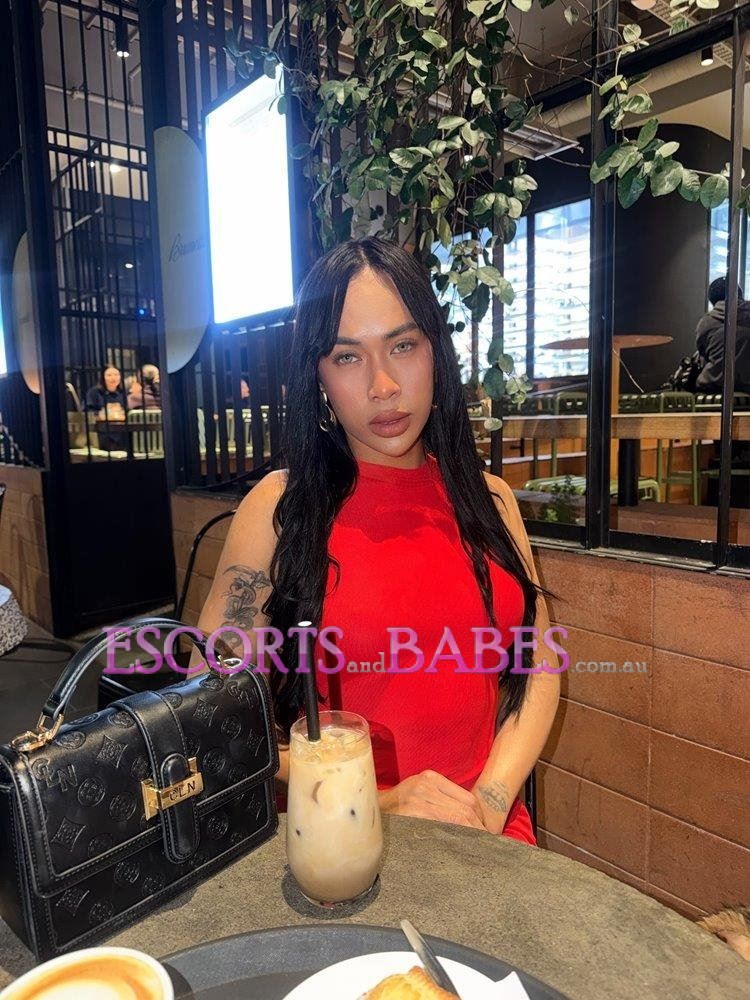 IVY New Trans Verse Hard Hot Filipina
