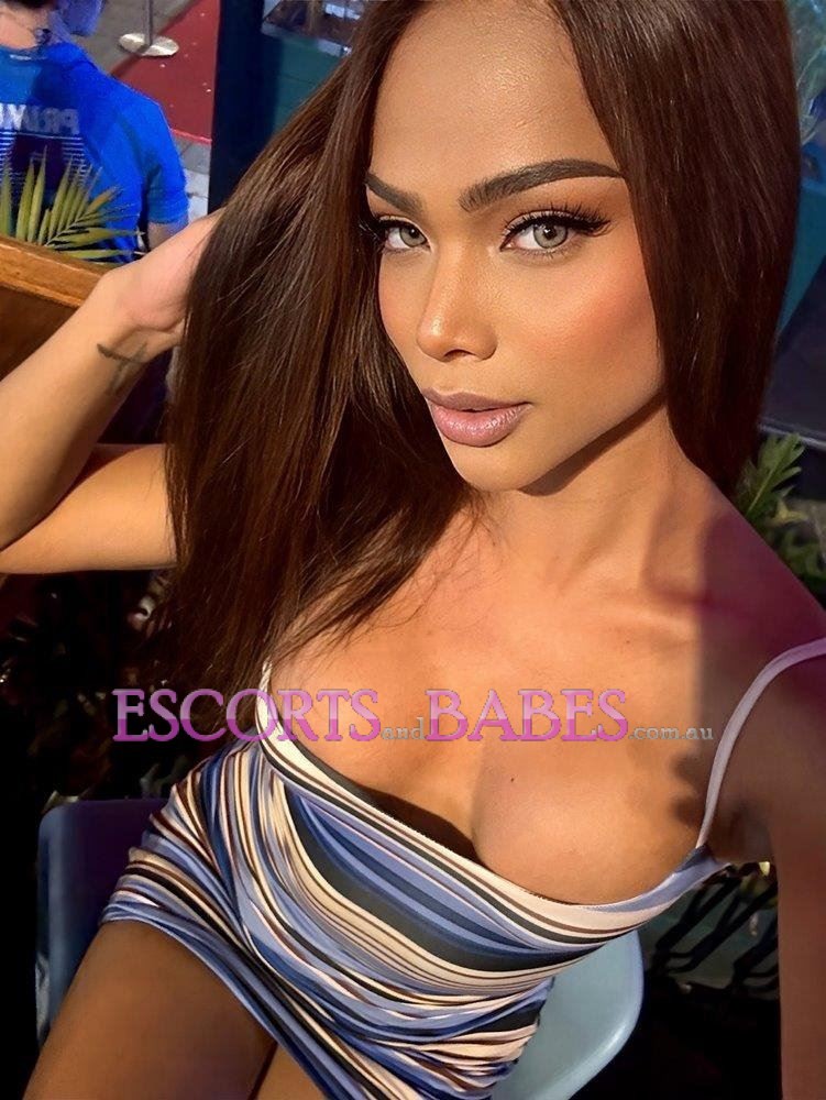 TS Miya