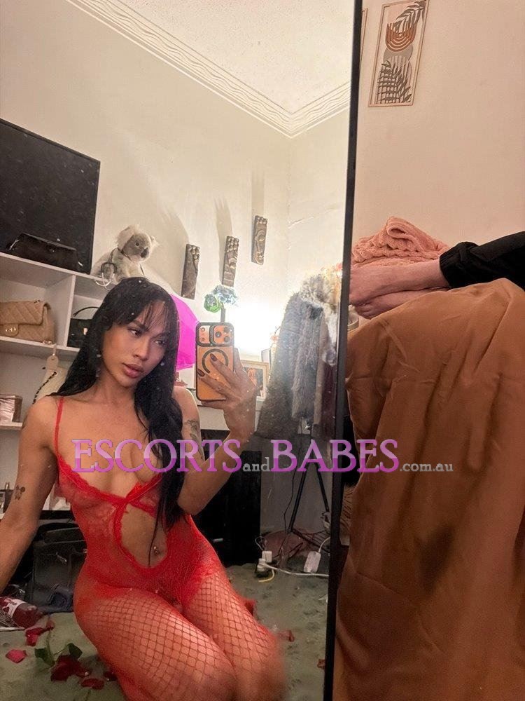 IVY New Trans Verse Hard Hot Filipina