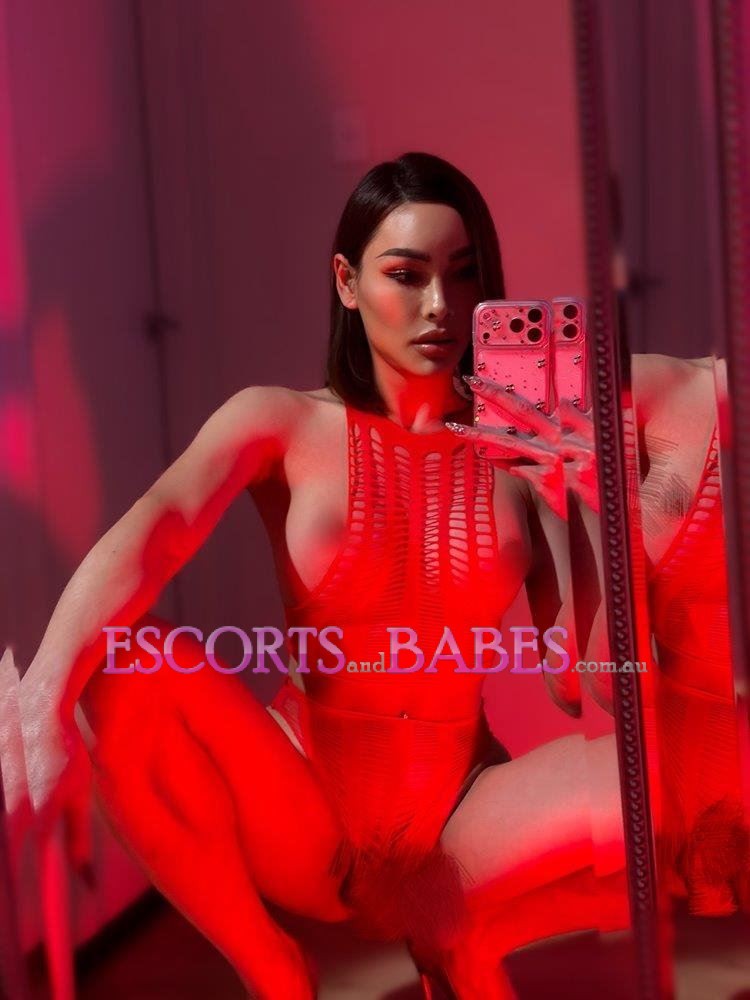 HOT TRANS BELLA
