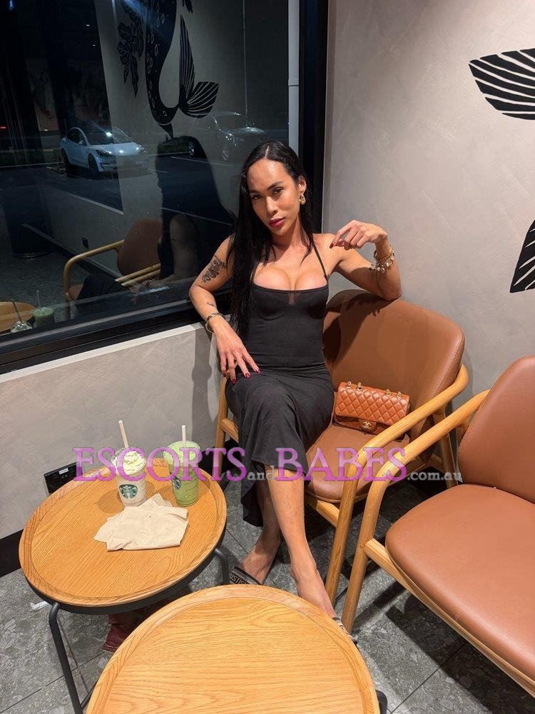 IVY New Trans Verse Hard Hot Filipina
