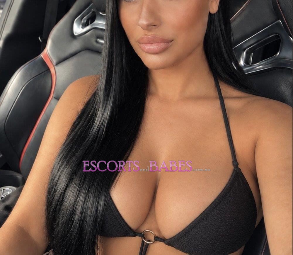 BxdBunnies