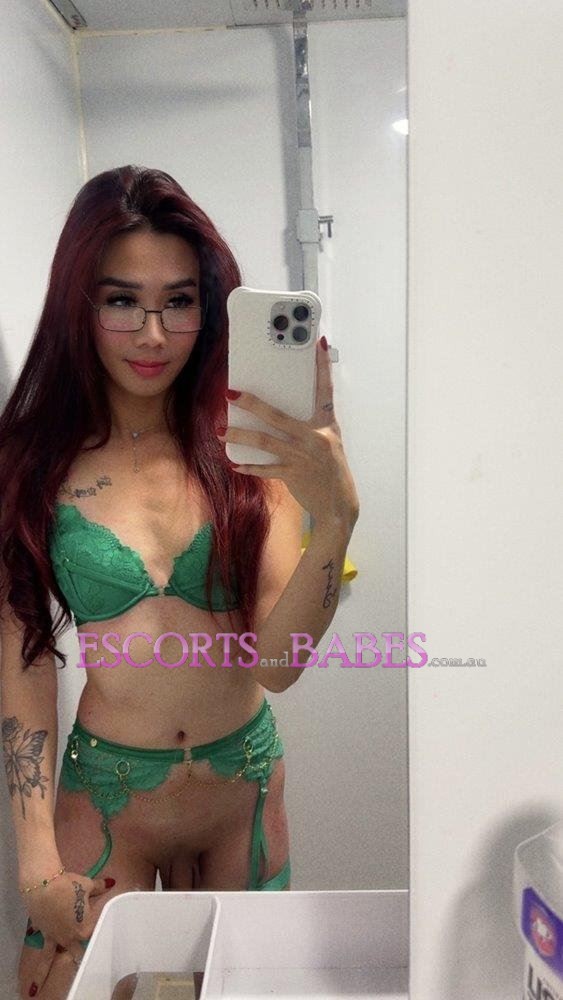 Viet Trans