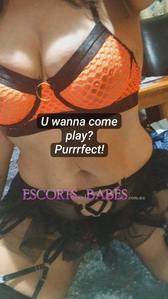 Cheeky kitty perth ellenbrook NOR