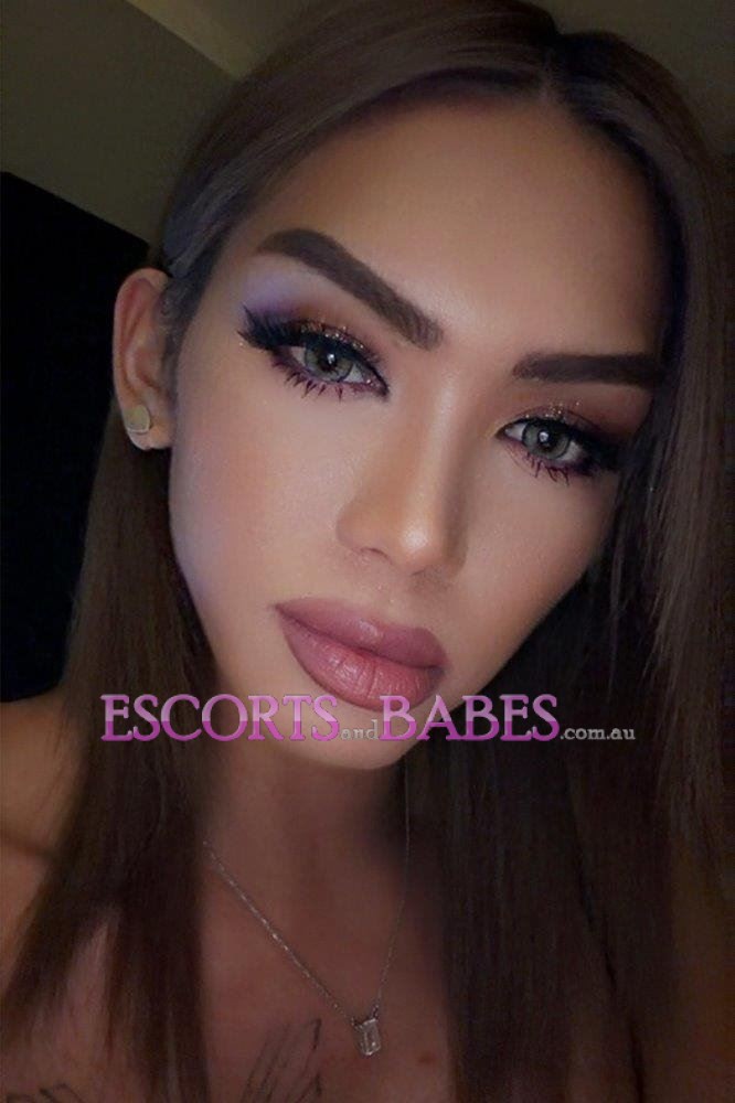 Ts Adriana New in Town Your wild Ts experience