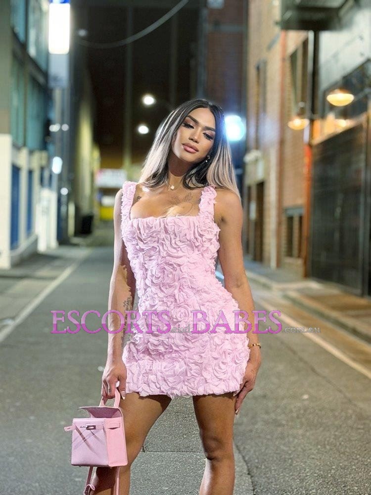 Ts Adriana New in Town Your wild Ts experience