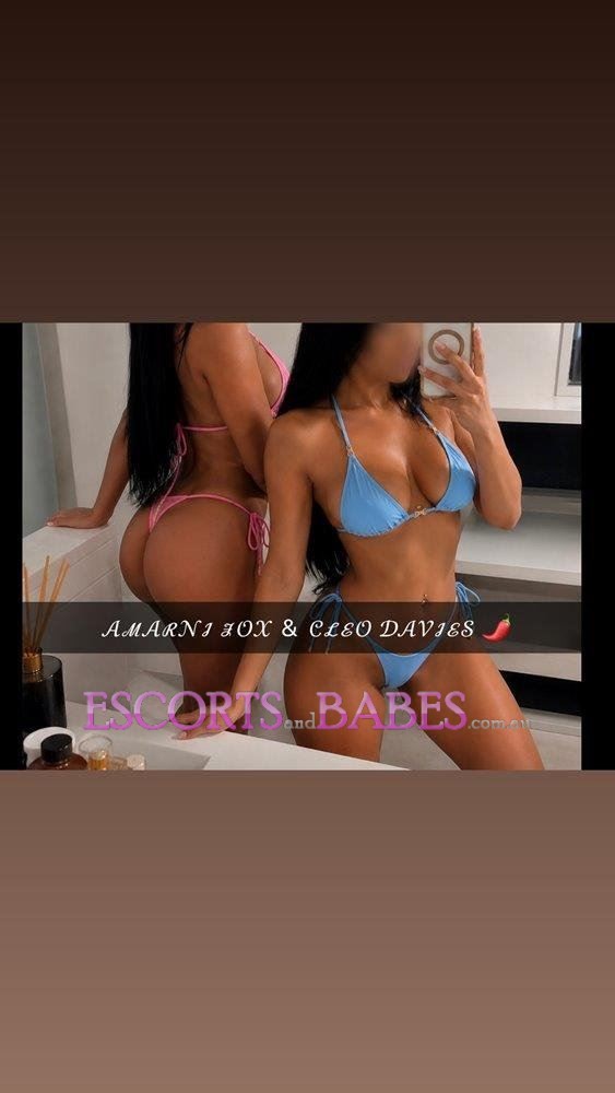 BxdBunnies