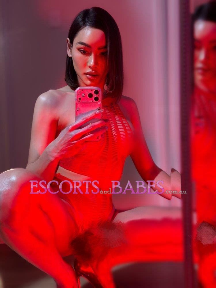 HOT TRANS BELLA