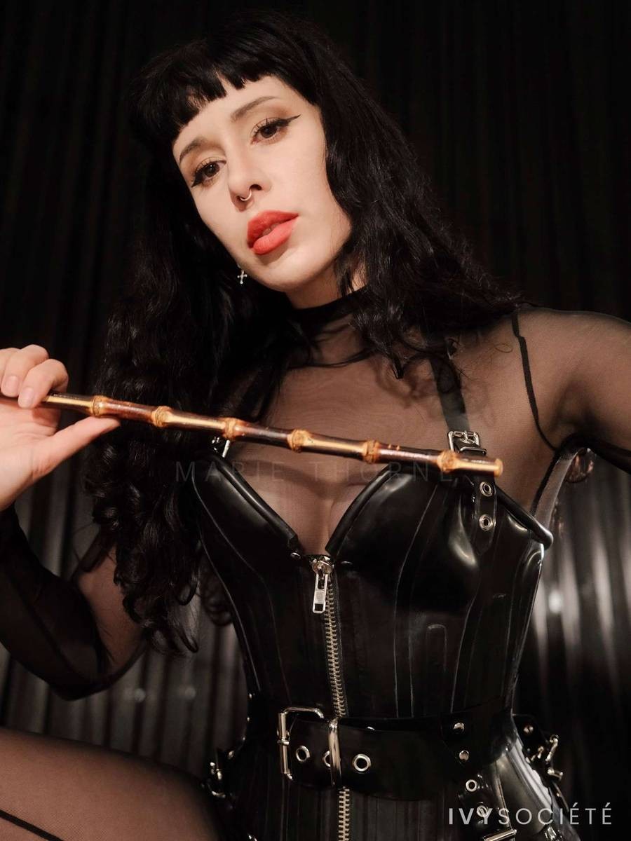 Ayla X