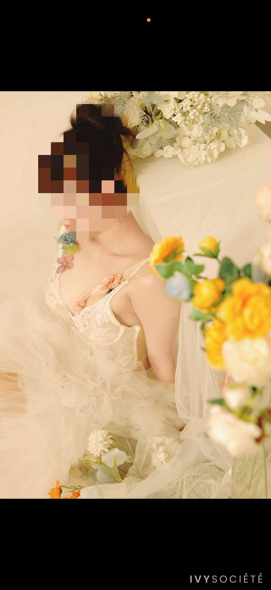 Dove L