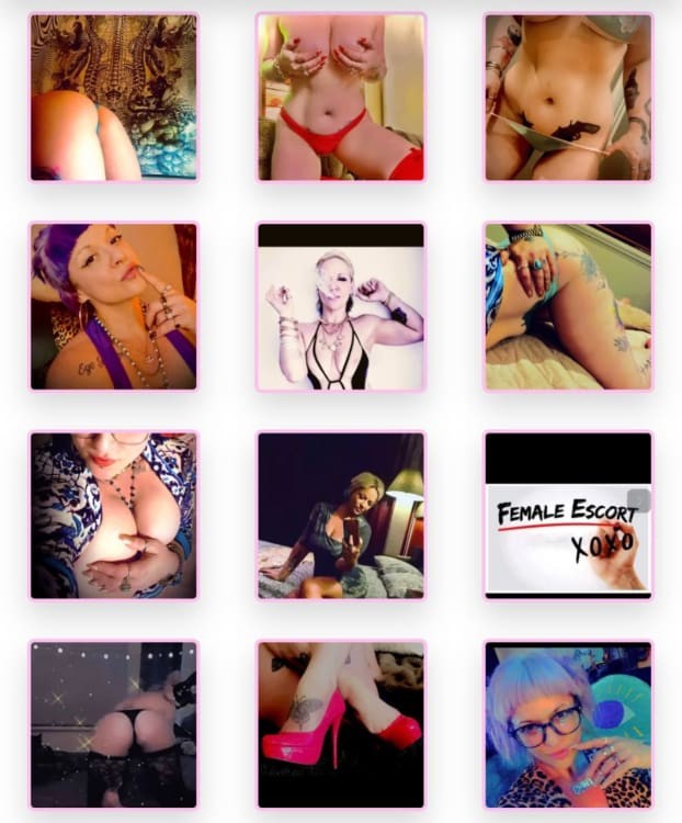 Ms Lexi Lovelace