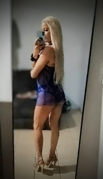 Halo Bhaddy