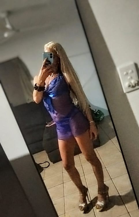 Halo Bhaddy