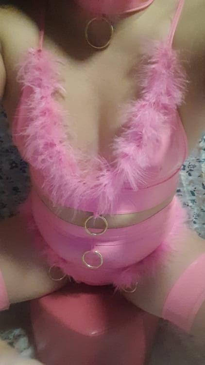 Foxy Bunny