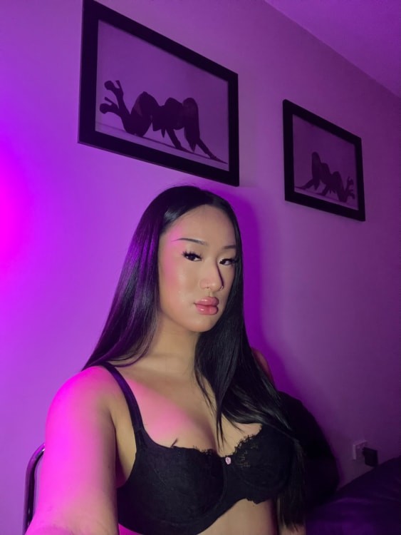 TS LAYLA