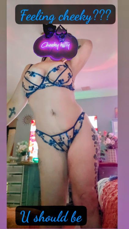 Cheeky kitty perth ellenbrook NOR