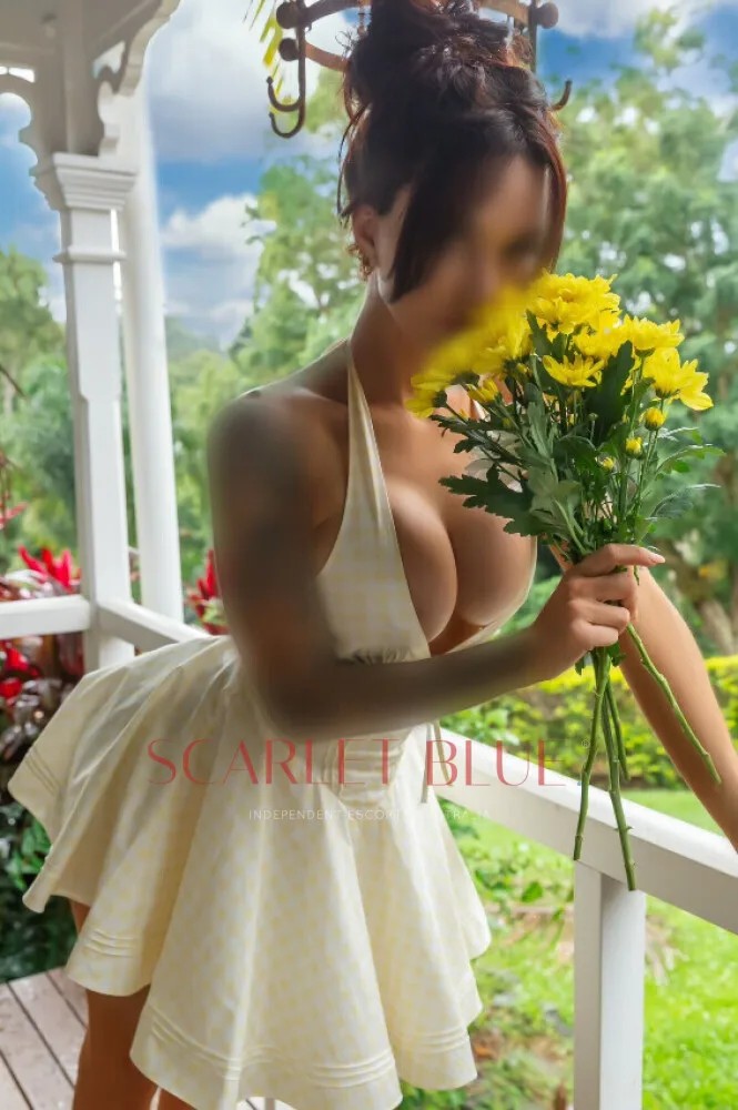 Ally Fox Luxury Companion