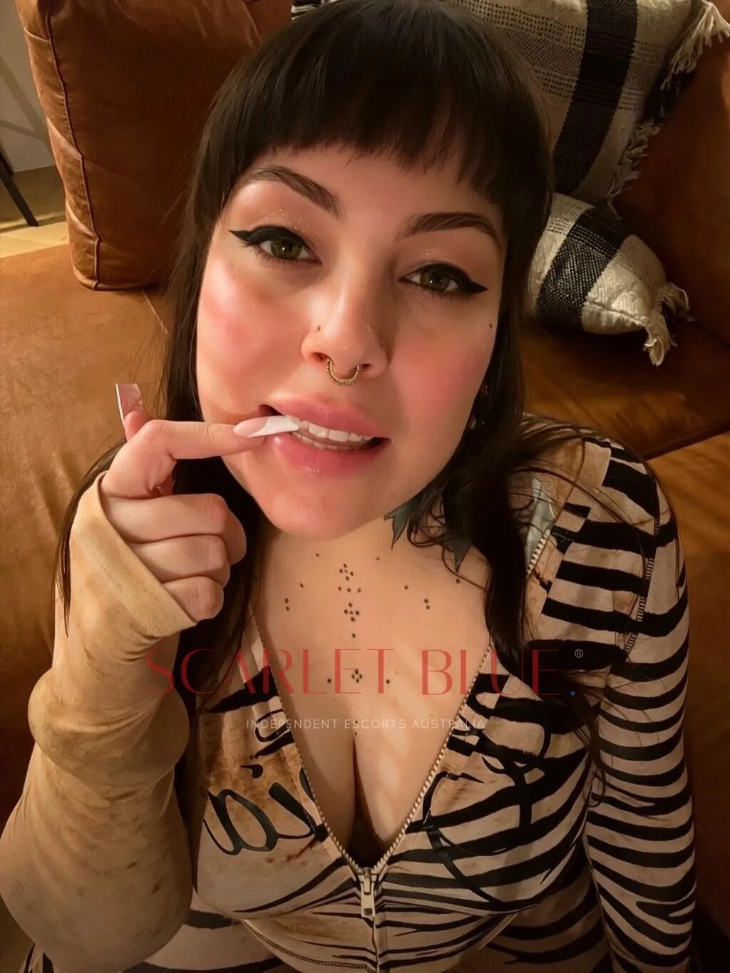 Priscilla Priestly