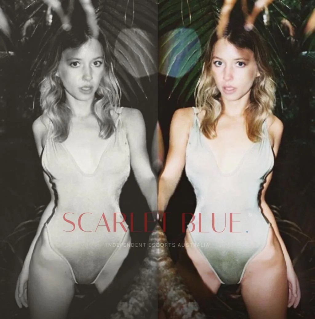 Scarlet X Rose