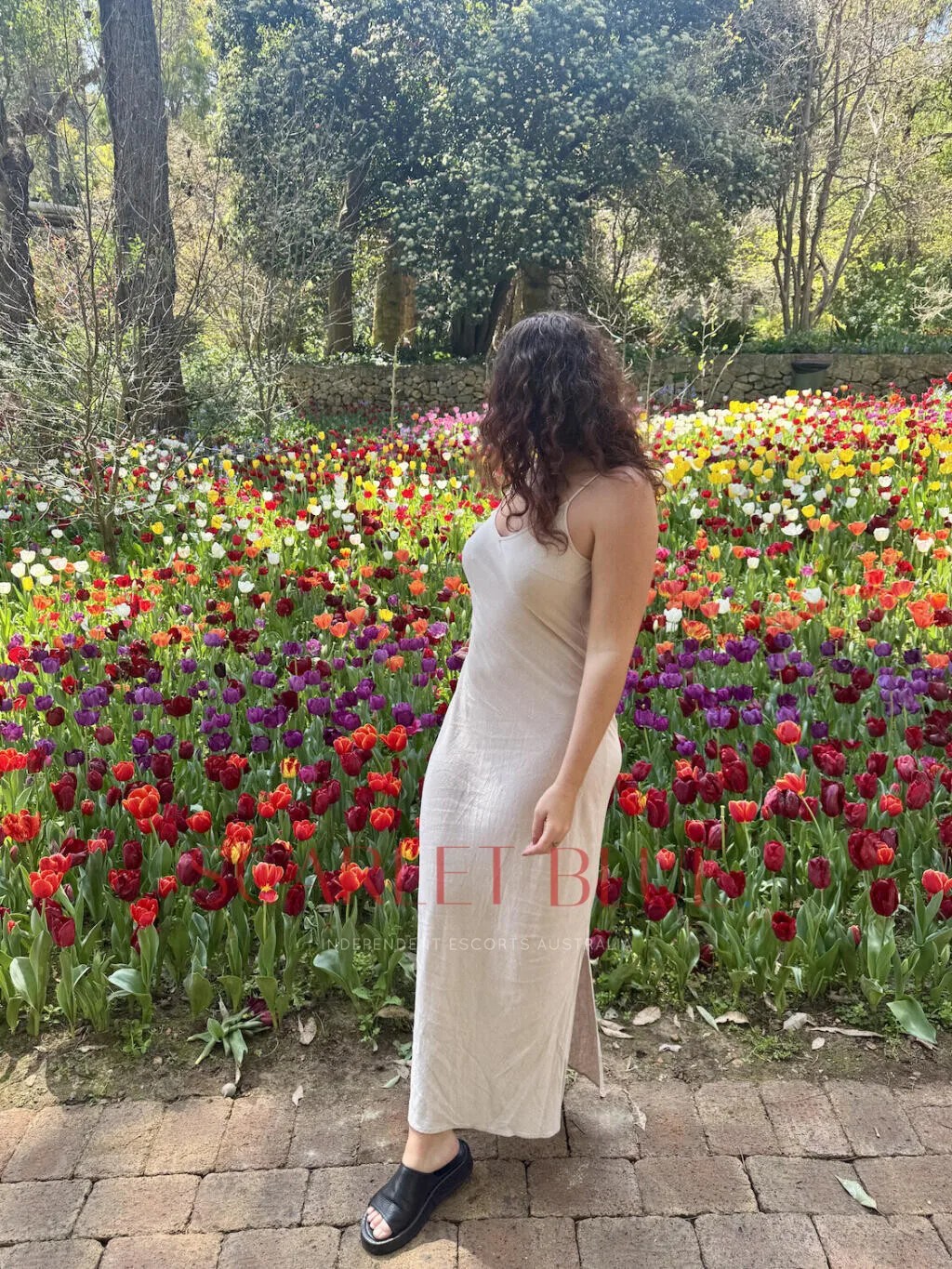 Sierra Solaris