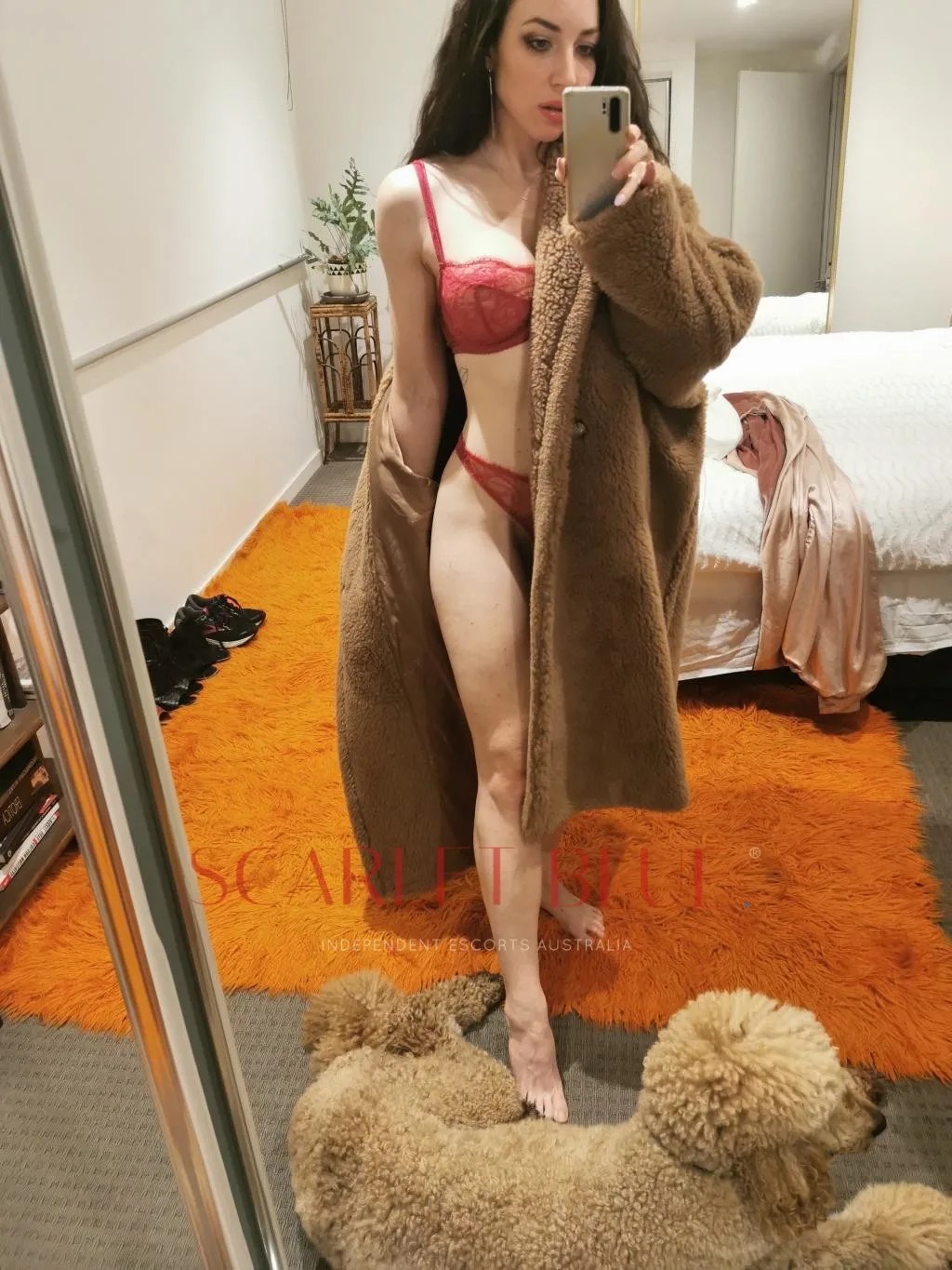 Nyssa Lavigne