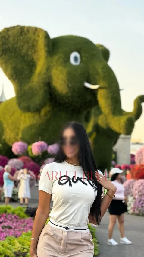 Sam Vip