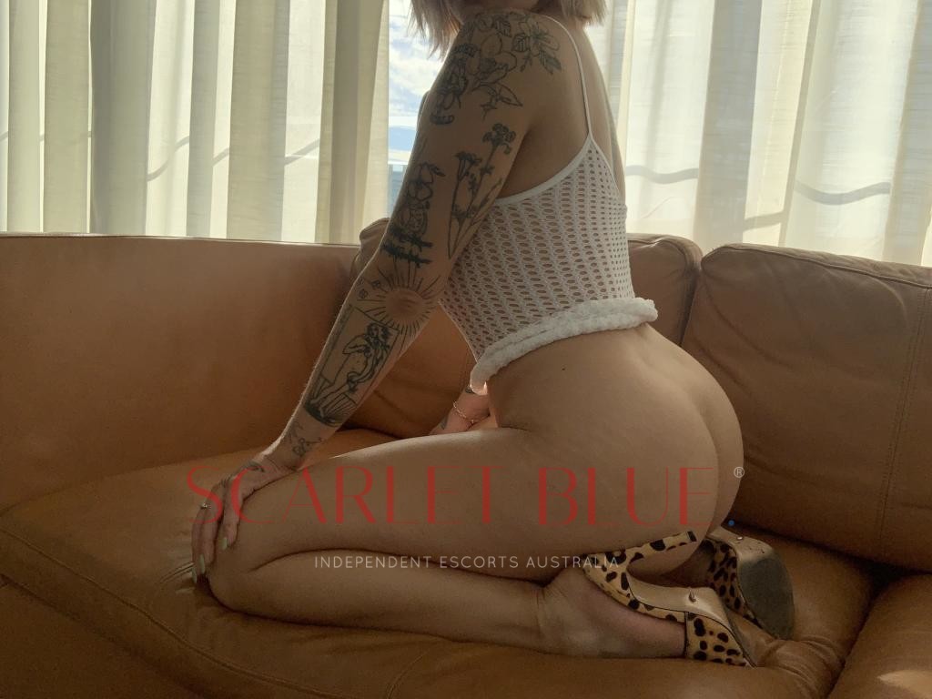 Darcy Sweet