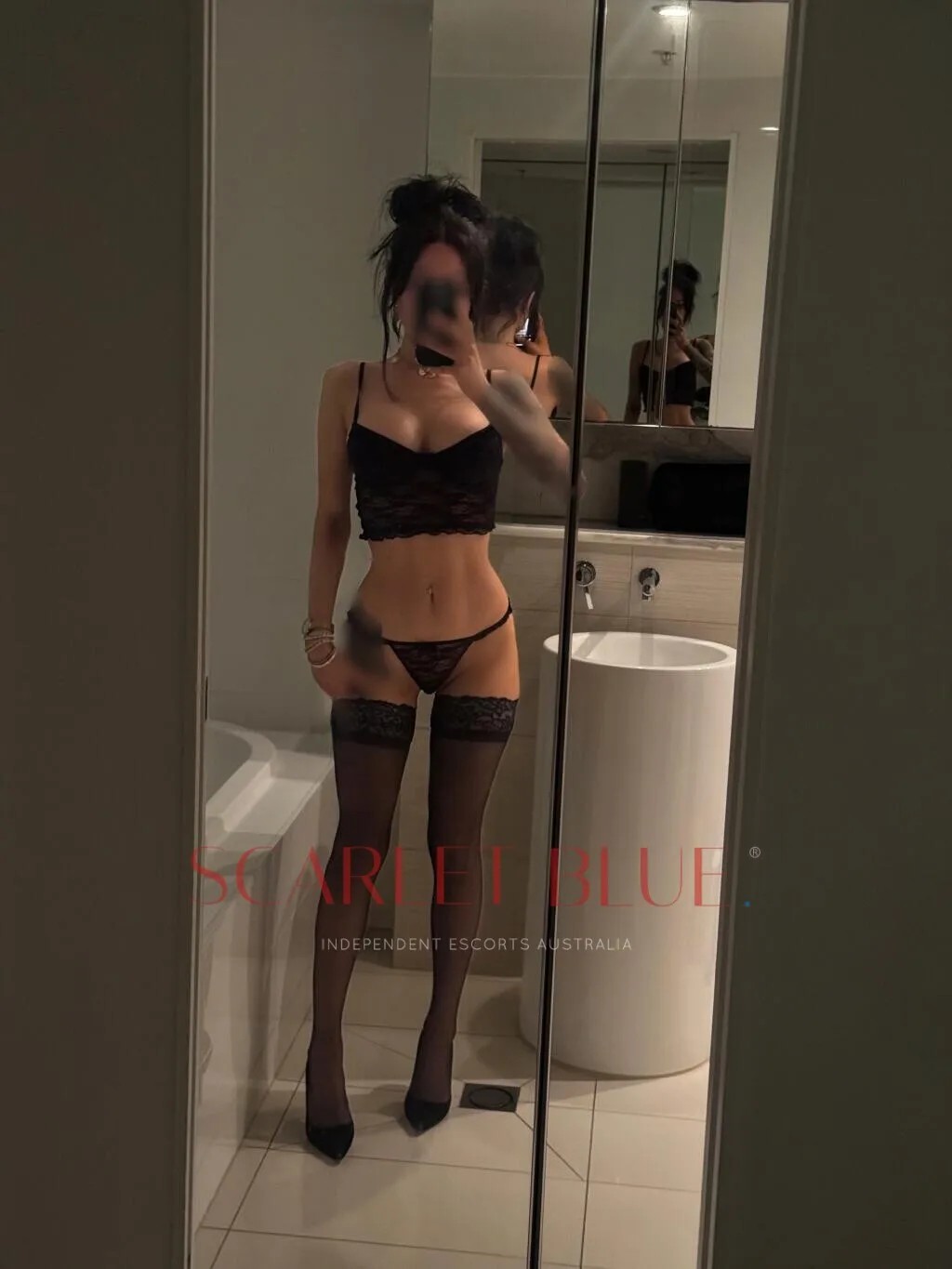 Ally Fox Luxury Companion