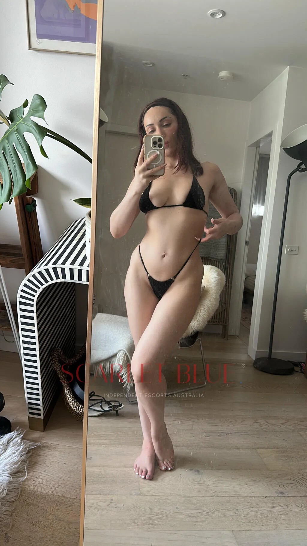 Sofie Bee
