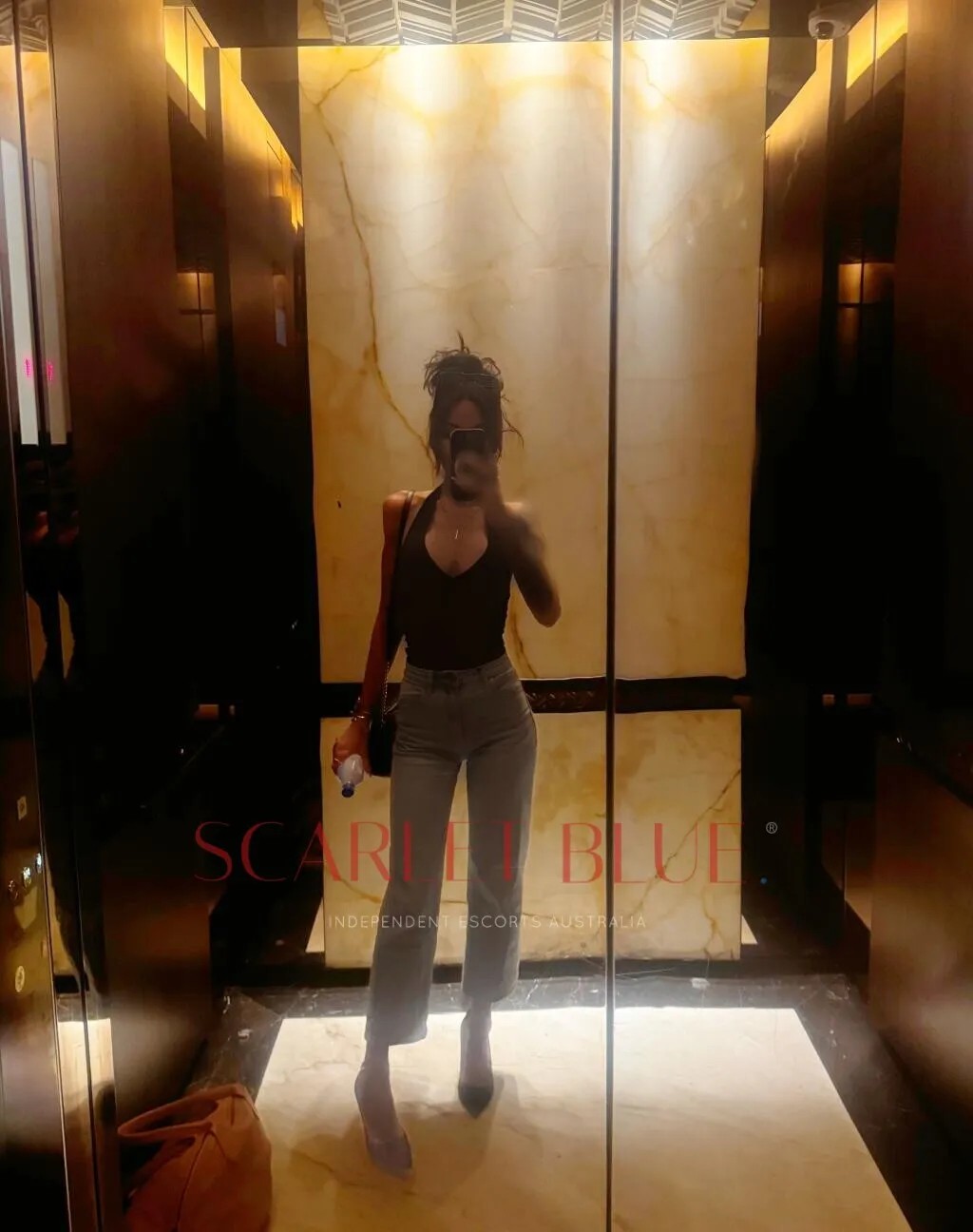 Ally Fox Luxury Companion