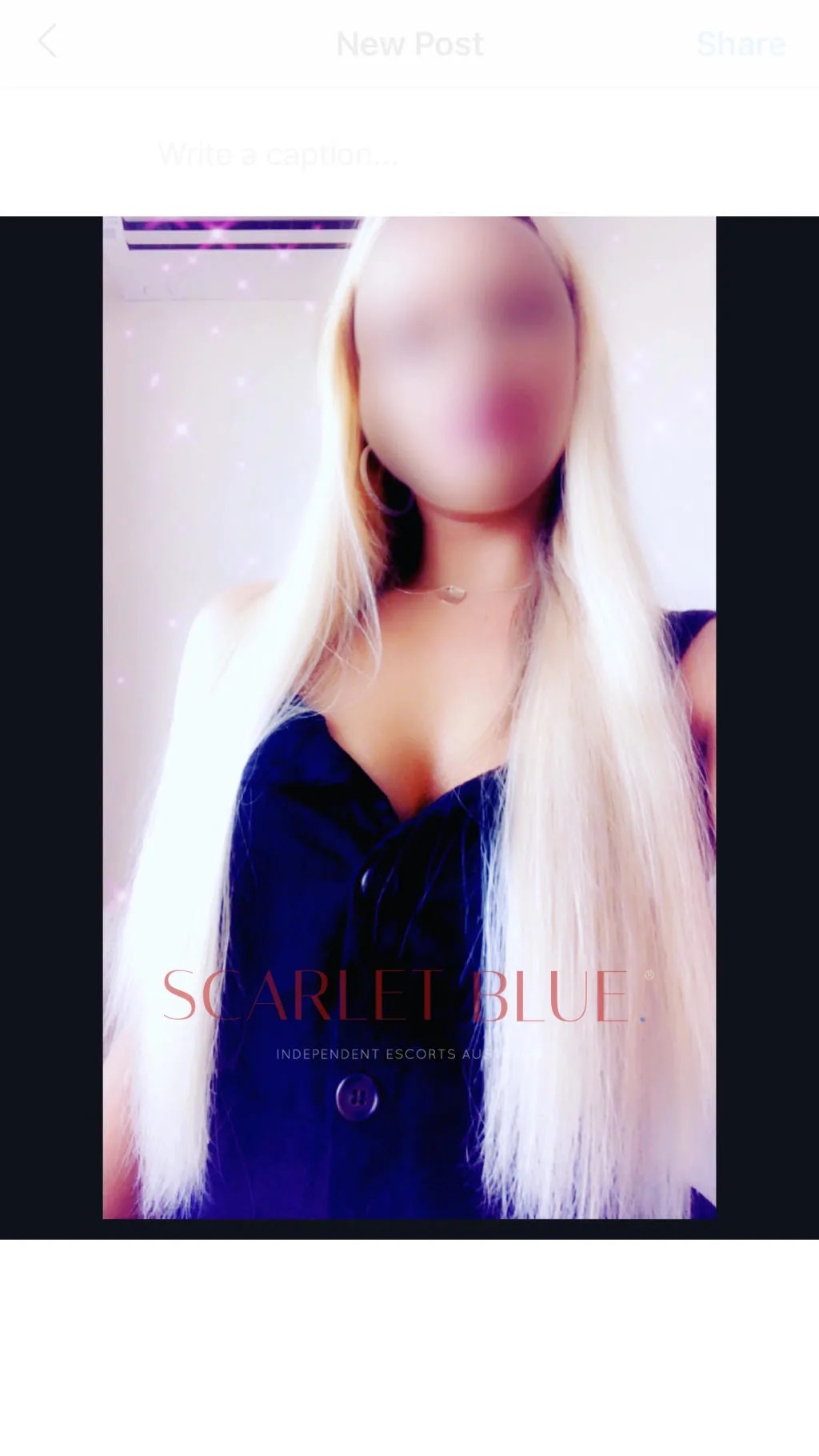Bridgette B