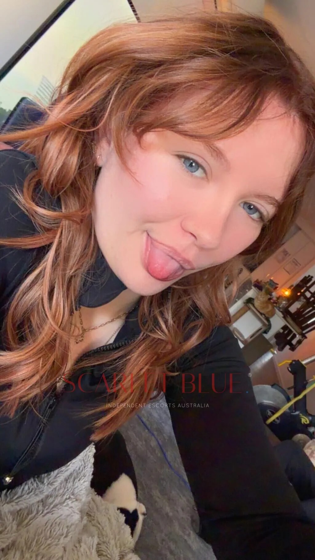 Aussie Addison