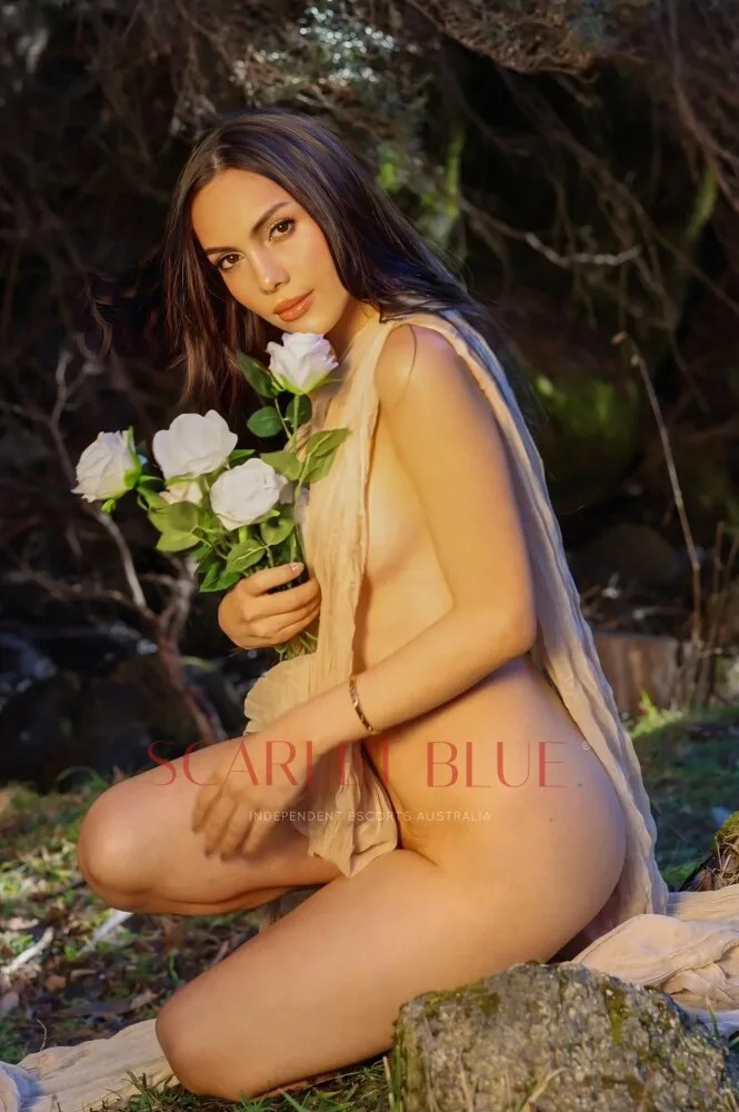 Eurasian Beauty Vannesza