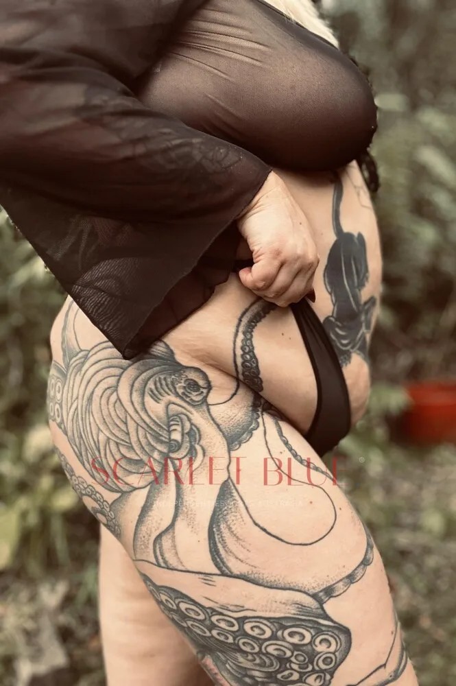 Stella